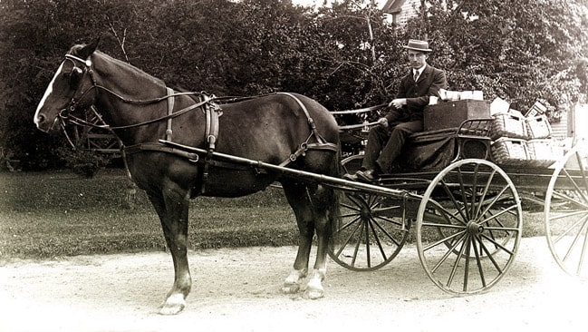 horse and wagon