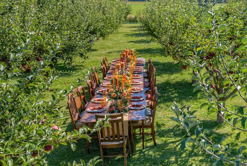 orchard table
