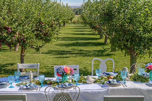 table in orchard